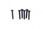 Round Head Self Tapping Hex Screw 2x10 6szt.  - 10238