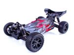 jezdzacevrx_spirit_buggy_rh1016_03